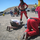 Illustration for article titled Bad Drivers Must Smell The Boot Of Mistress WTF!